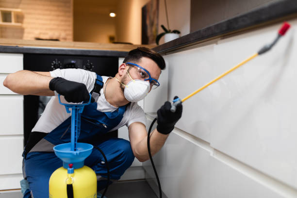 Best Pest Control Near Me  in Henagar, AL