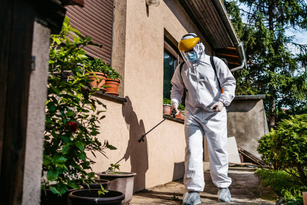 Best Flea Control Services  in Henagar, AL