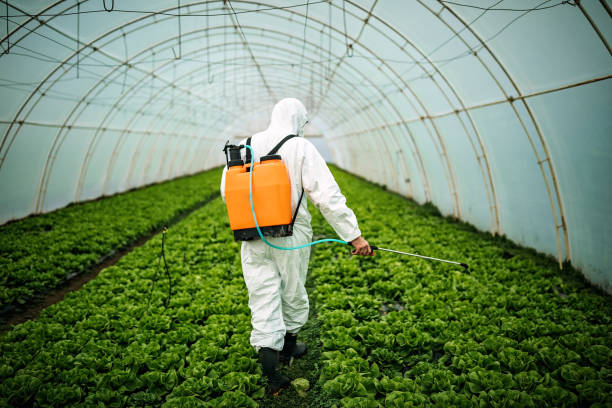 Best Pest Inspection Near Me  in Henagar, AL