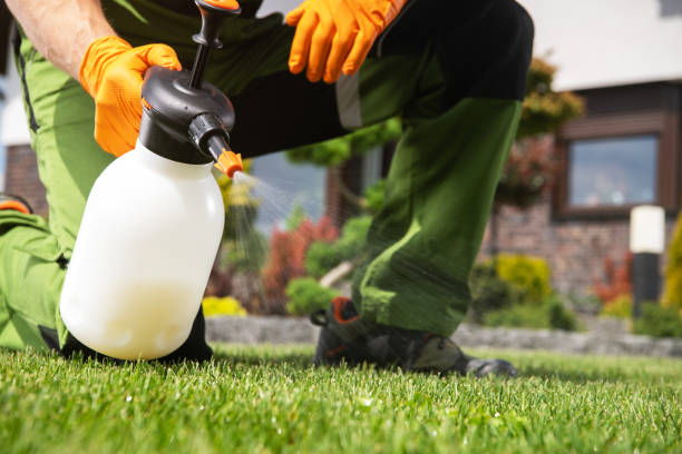 Reliable Henagar, AL Pest Control Solutions