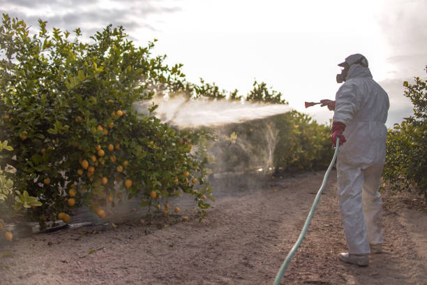 Best Exterminator Services  in Henagar, AL