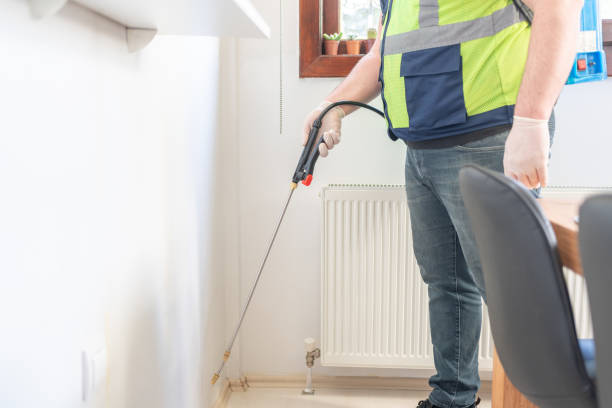 Best Ant Control Services  in Henagar, AL