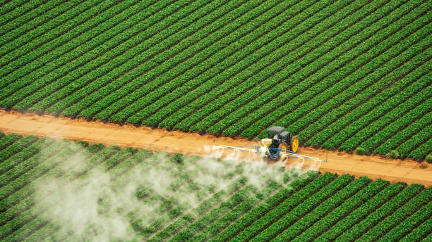 Best Pest Control Near Me  in Henagar, AL