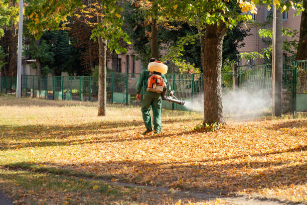 Best Affordable Pest Control Services  in Henagar, AL