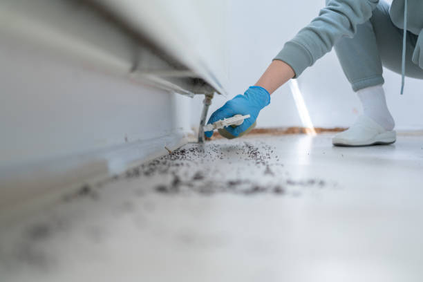 Best Termite Control Services  in Henagar, AL